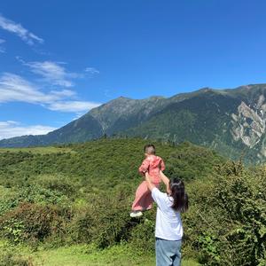 青穹是我的发财树头像