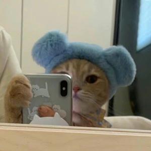 正儿八经的小佳头像