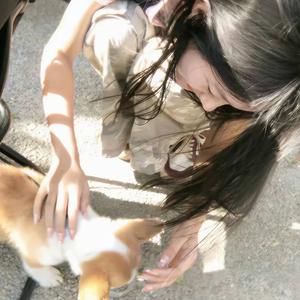 香辣普忒头头像