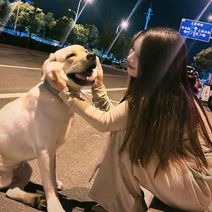 彭乐乐🐾shi唯一头像