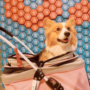 Q、奥奥奥莉头像