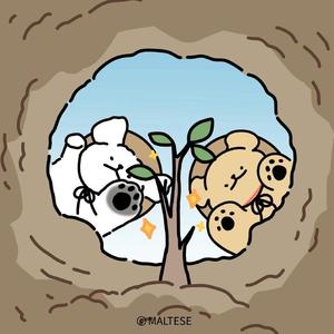 菲菲娥妹子头像