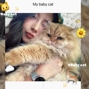 蓝以以以shy头像