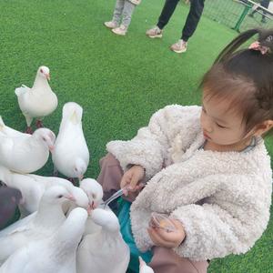 小兔甜品铺头像