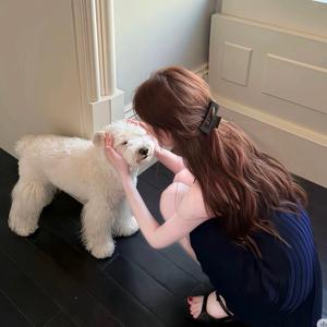 𝟴𝗳𝗶𝗰𝗵𝗲𝘀头像