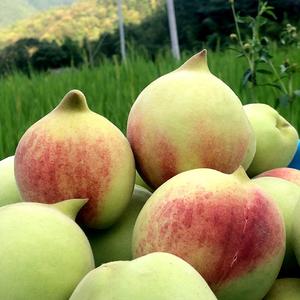 河源印象专营店基地头像