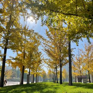 菲妈爱做饭头像