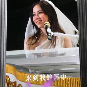 别在背后蛐蛐我_江浙沪全勤版头像