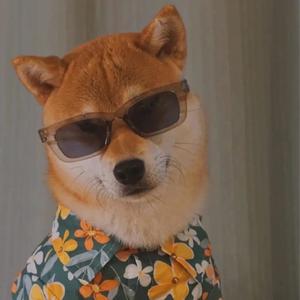 梦幻手游蜃境·集结号头像