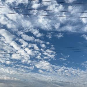 亿路绿灯🚦头像