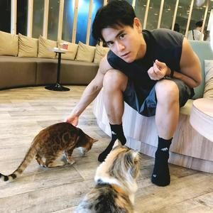 失约的海’头像