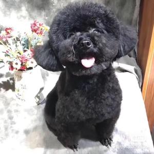 牵着你绳^陪你变老头像