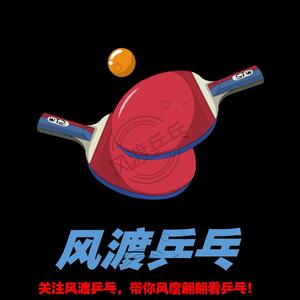 风渡乒乓🏓头像