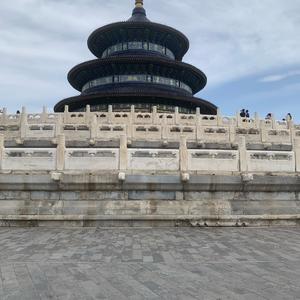 森林里的蜂头像