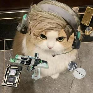 鱼沐—三角洲行动头像