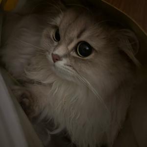 再让我喝一杯头像