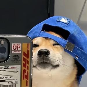 半个一-🏀头像