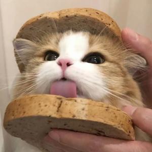 一个达不刘～（逆袭版）头像