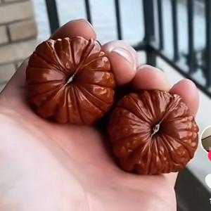 寻觅好南瓜头像