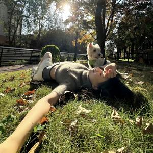 岳哲起百货头像