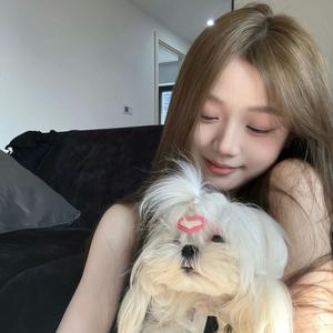 总有傻子跟着念头像