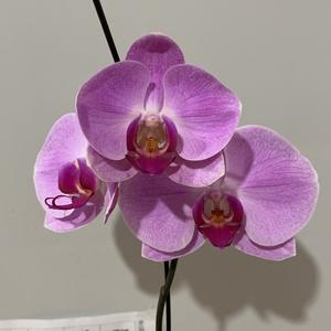 Jack的闲暇时光头像