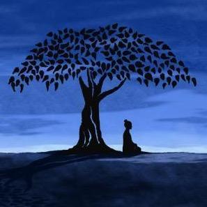 读茶亦读己头像