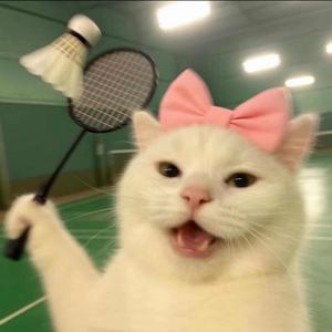 超大杯姜汁可乐头像