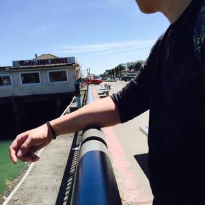 一马归一马🐎头像