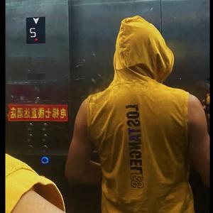 75摄影的兔头像