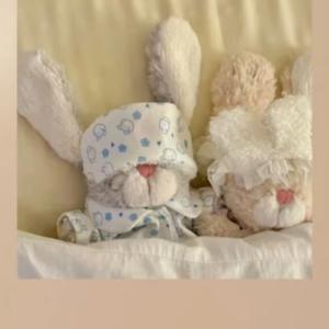 小鱼饼干🍪头像