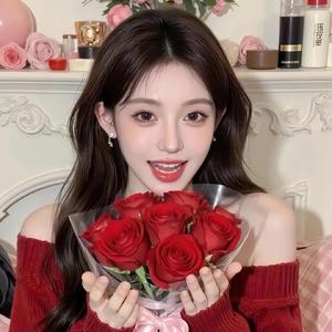 一颗何兰豆头像