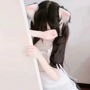 猫奴头像