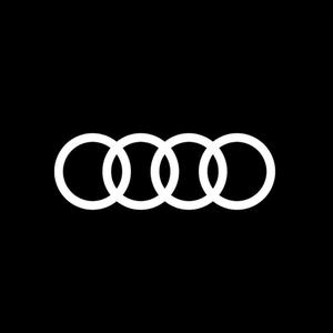 奥迪-贝总头像
