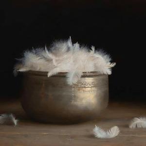 小宋今天有抽到自担吗头像