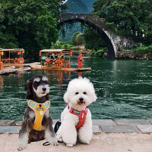 耳朵爱喝咖啡豆头像