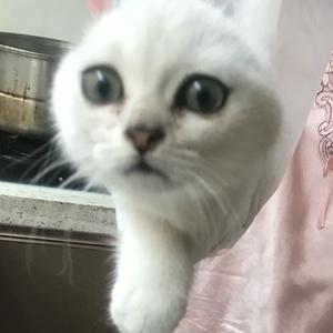 小箱饿饿饿饿饿饿头像