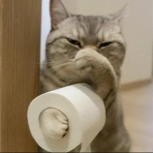 MTTZZI（减肥极速版）头像