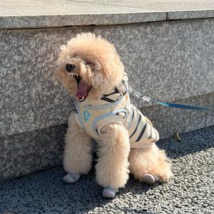 熊熊是只泰迪熊🧸头像