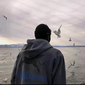 富贵不能淫头像