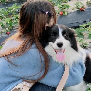 曼琦皮皮宠物用品店头像