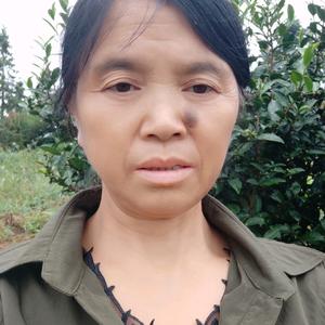 @美好的回忆  蒲（拒绝连赞）头像