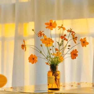 优秀课代表💓亮晶晶头像