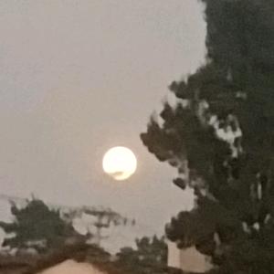 溺水的鱼☜头像