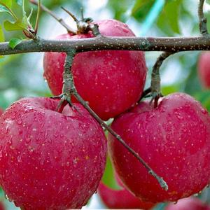 锦华装饰材料头像