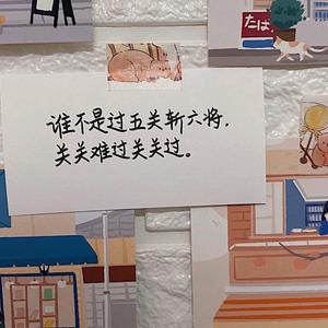 傻瓜都一样头像