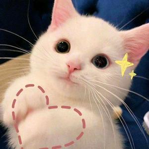 伊人肌秘千好护肤头像