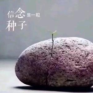 Ai佳佳-水电表头像