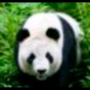 大朋友520的抖音 - 抖音