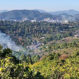 山顶洞红富士头像